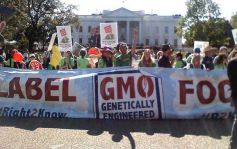 fot. źródło: MillionsAgainstMonsanto/Flickr CC